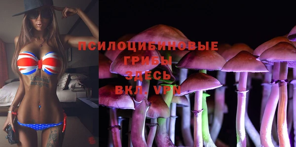 ПСИЛОЦИБИНОВЫЕ ГРИБЫ Аркадак