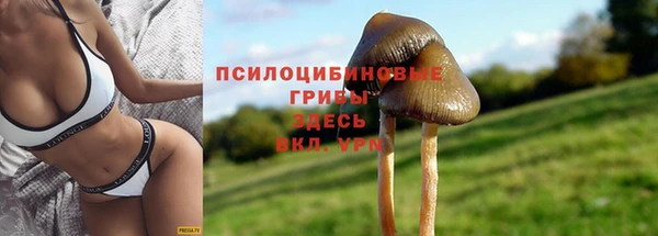 спиды Остров