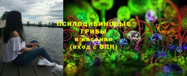 МДПВ Армянск