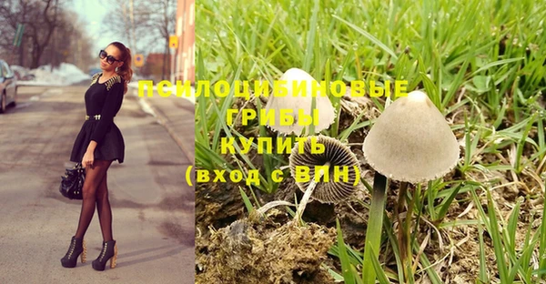 тгк Арсеньев