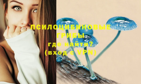 ПСИЛОЦИБИНОВЫЕ ГРИБЫ Аркадак